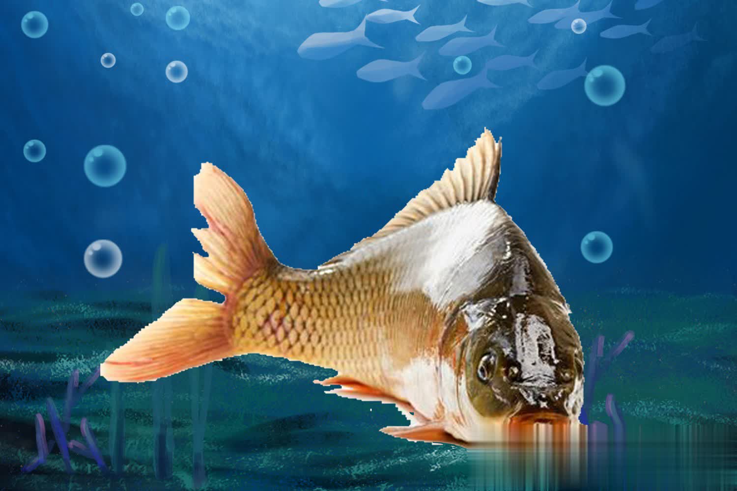 img, 个要素排名, 个要素排名 img, 个要素排名, 个要素排名