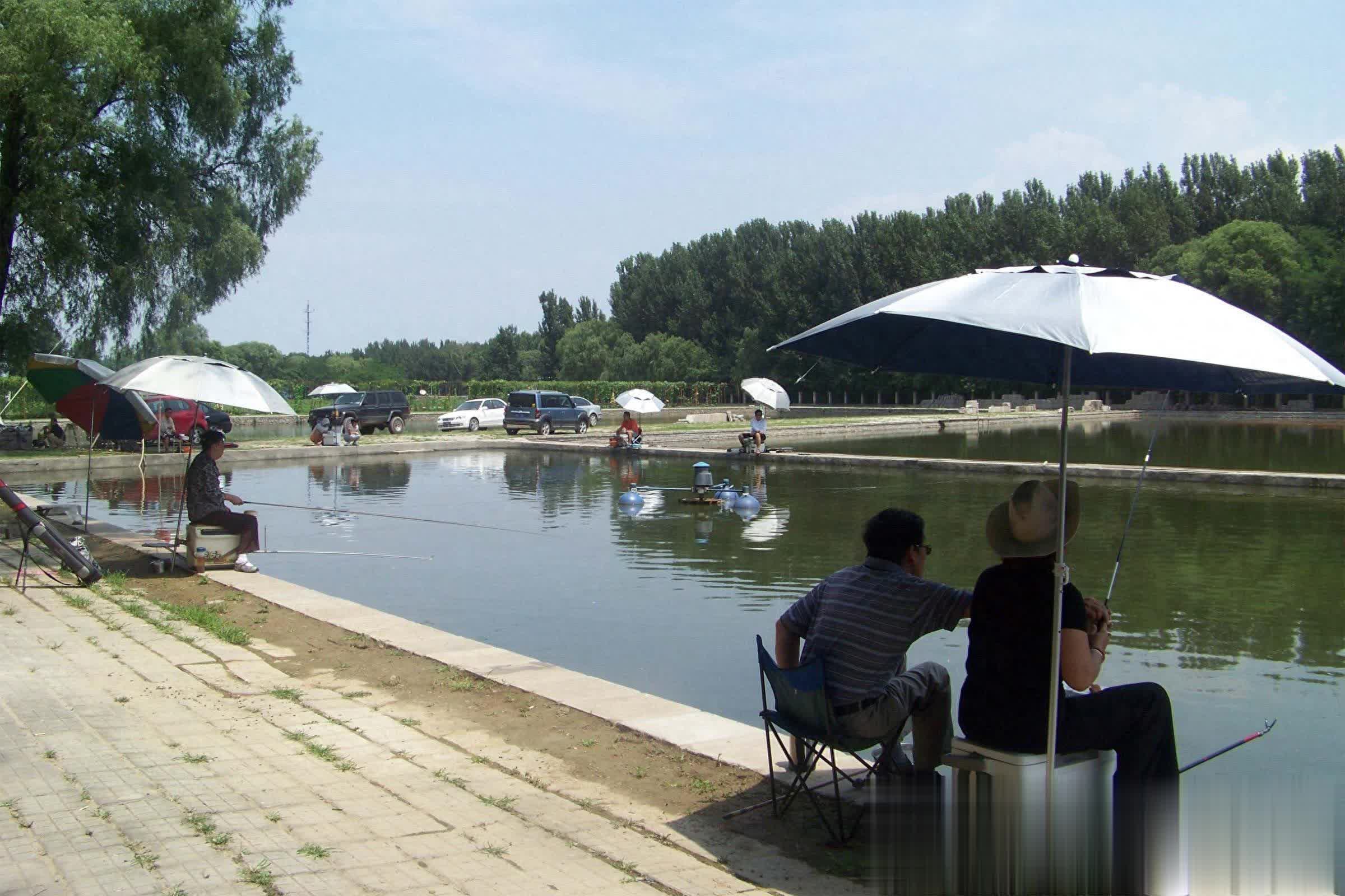 tenan, 坑偷驴鱼获 tenan, 坑偷驴鱼获