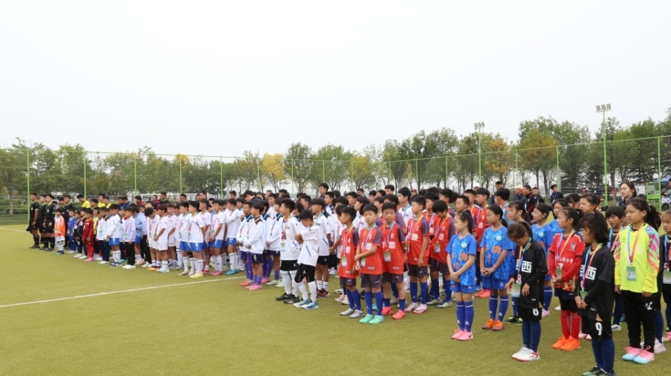 个组别, yQCwp 个组别, yQCwp