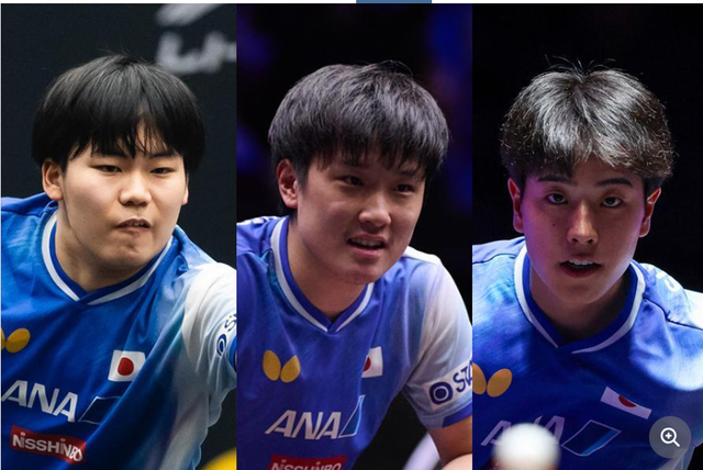 张本智和 张本智和